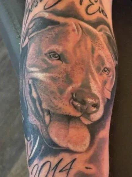 Detailed dog portrait tattoo